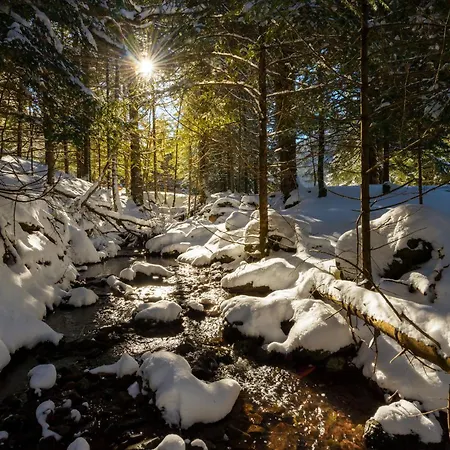 Casa Eguzkilore By Bevalle Daire *