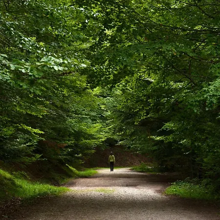 Casa Eguzkilore By Bevalle אסקרילה