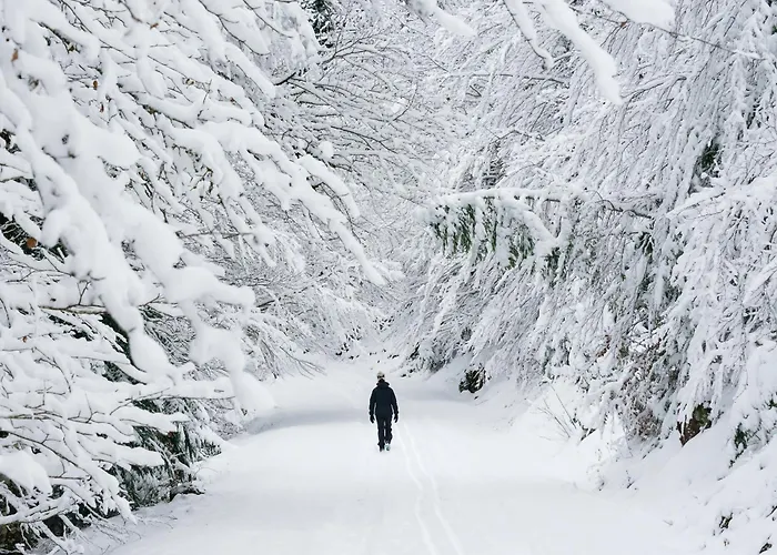 Casa Eguzkilore By Bevalle אסקרילה