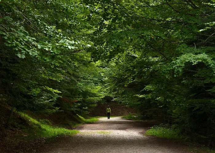 Casa Eguzkilore By Bevalle אסקרילה