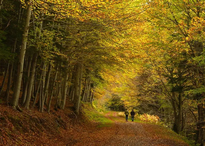 דירה Casa Eguzkilore By Bevalle